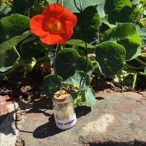 Crystals (Gold Rutilated) In A Bottle Mini